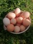 Продавам домашни яйца Шумен , снимка 2