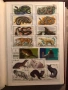 Класьор с марки предимно Фауна , снимка 10