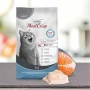 Platinum Sterilised Chicken с 83% Прясно пилешко месо - Пълноценна храна за кастрирани котки - 3кг., снимка 2