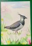 1884к. Нидерландия 2023 = “ Фауна. Природен Резерват “ Skrok and Skrins “ , снимка 2