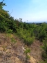 Парцел в Парк "Железник", Стара Загора , снимка 3