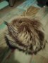 Шапка естествен косъм - нутрия, снимка 3