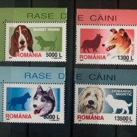 639. Румъния 2001 = “ Фауна. Породи кучета “ ,**,MNH, снимка 1 - Филателия - 33533204