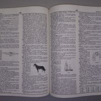 Webster's School Dictionary-Енциклопедичен учебен речник., снимка 2 - Чуждоезиково обучение, речници - 38386231