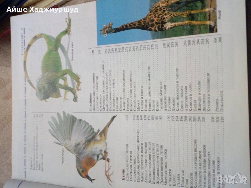 Илюстрована  енциклопедия животните, снимка 1