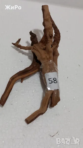 Корен от Азалия /декорация/ 58, снимка 1