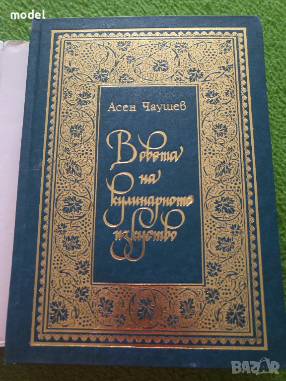 В света на кулинарното изкуство - Асен Чаушев , снимка 1
