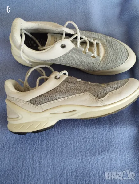 Ecco biom номер 38., снимка 1