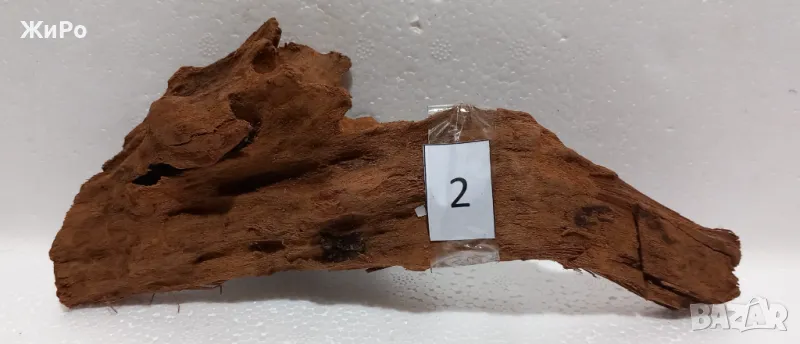 Мангрови Корени /Декорация/ Размер - S  /1-6/, снимка 1