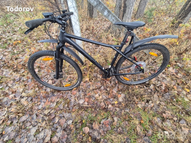 Планински Бегач GT Avalanche