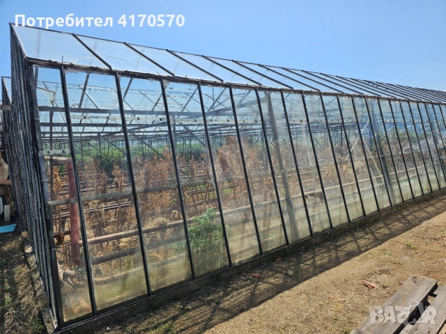 Продава се стъклена оранжерия, снимка 2 - Оранжерии - 51654998