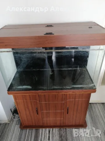 Аквариум 260 литра с шкаф, снимка 5 - Аквариуми - 47345477