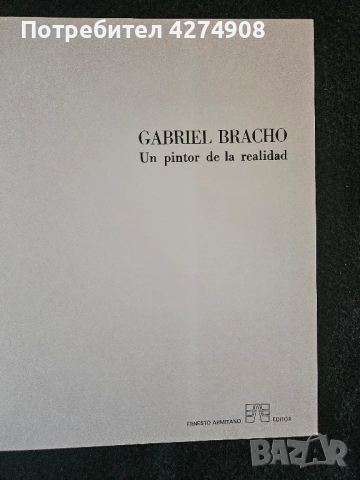 Gabriel Bracho - Un pintor de la realidad, снимка 3 - Художествена литература - 52293566