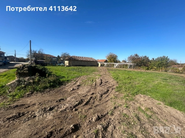 Дворно място 