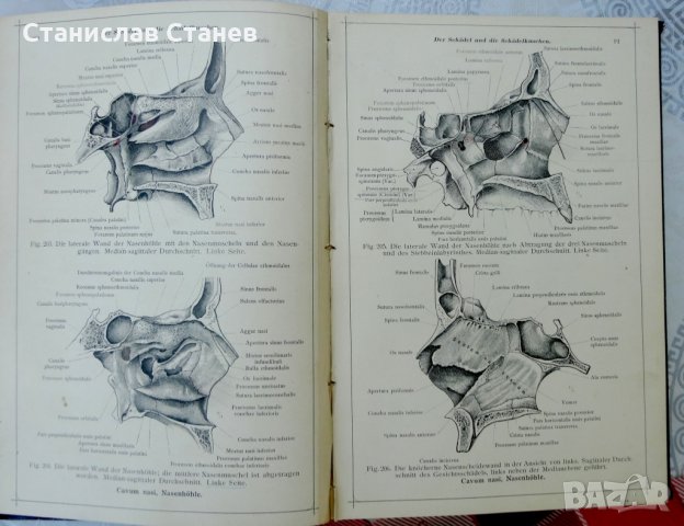 Антикварни книги - атлас анатомия - 2 бр., снимка 7 - Антикварни и старинни предмети - 27970222