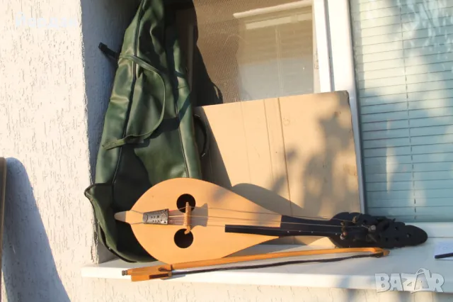 Професионална гъдулка 