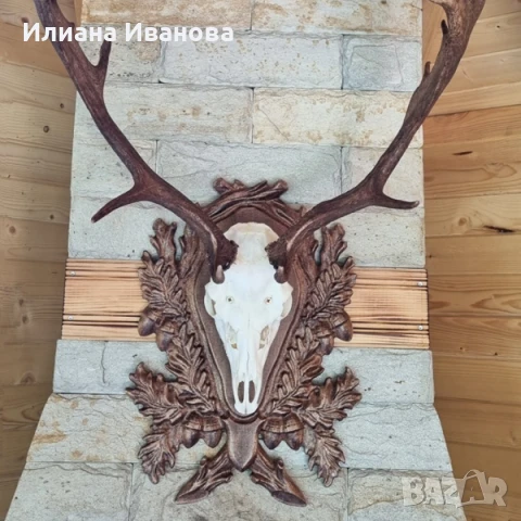 Поставки за ловни трофеи, снимка 8 - Картини - 12206704