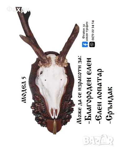 Стойка за трофей сръндак, снимка 5 - Колекции - 37785689