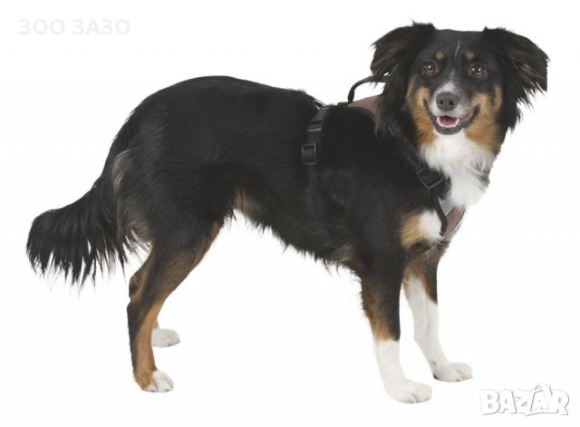 Мек и удобен за Кучета нагръдник в 3 размера , снимка 3 - За кучета - 26489855