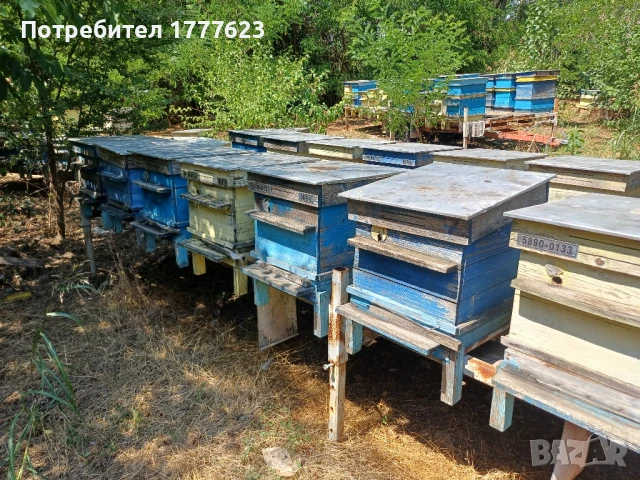 Сандъци за кошери, снимка 6 - За пчели - 51412024