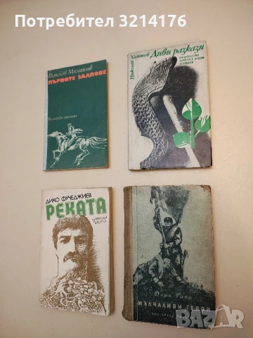 Диви разкази - Николай Хайтов, снимка 1