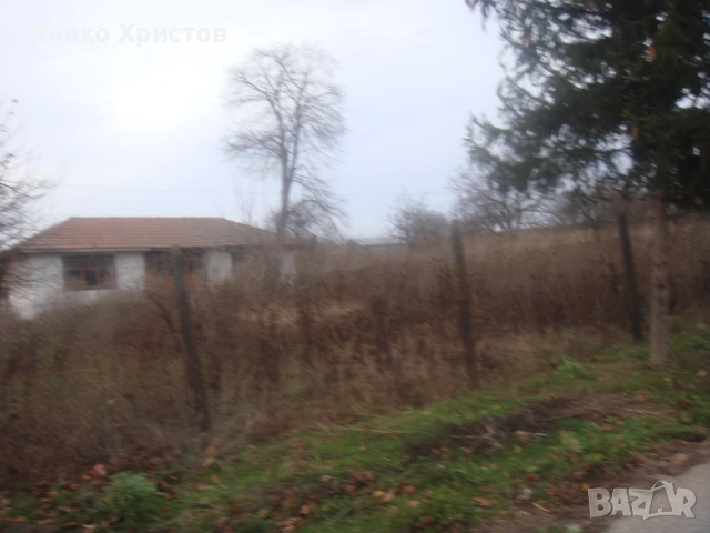 1810кв.м. дворно място с двустайна къща с. Тянево, снимка 2 - Къщи - 53062013