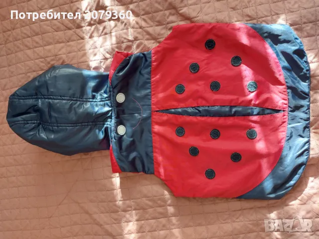 Грейки с калинки, снимка 5 - Детски якета и елеци - 48509539