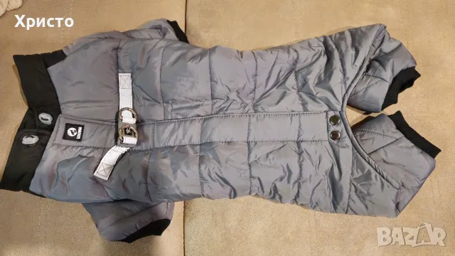 Гащеризон, яке за куче