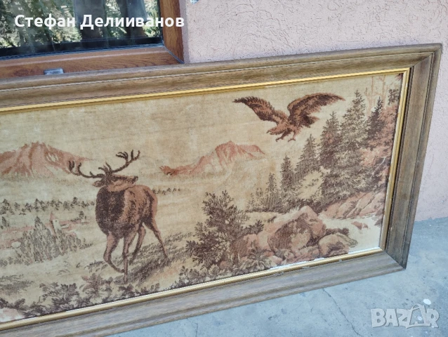 пано , снимка 5 - Пана - 51226103