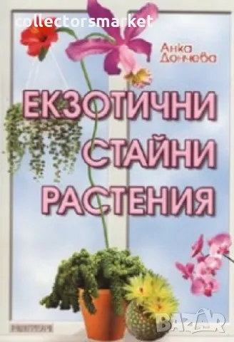 Екзотични стайни растения, снимка 1 - Други - 48959254