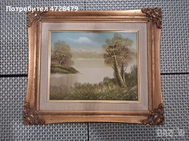 Картини с красиви рамки, снимка 7 - Картини - 53387361