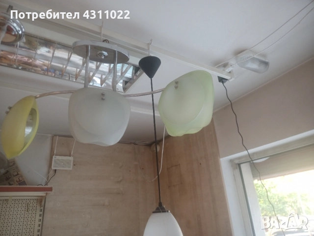 Полилей много оригинален.