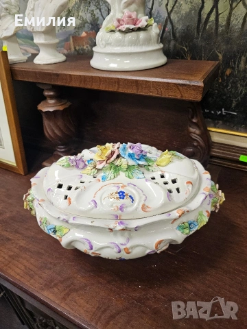 Порцеланов терин 