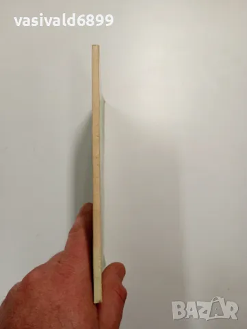 Георги Семьонов - Направо в зимата, без есен , снимка 2 - Художествена литература - 48504209