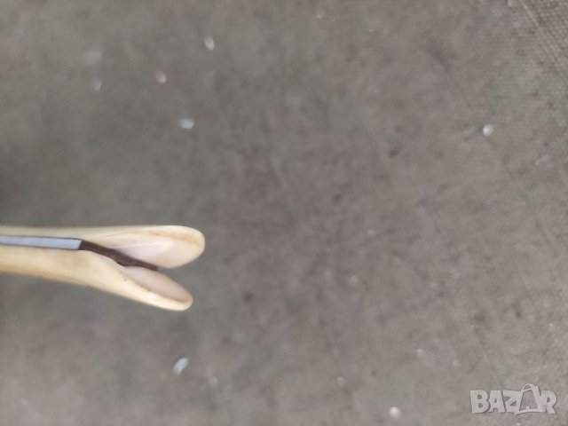 Продавам ножче с кания и рогова дръжка, снимка 3 - Ножове - 37762752