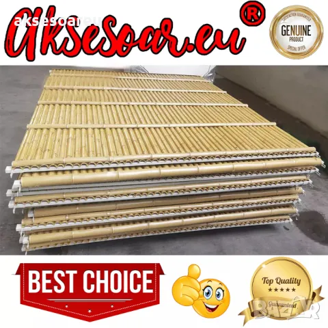 100 броя редки бамбукови семена зелен бамбук Moso-Bamboo мосо бамбо растение за декорация и украса , снимка 11 - Сортови семена и луковици - 48992845