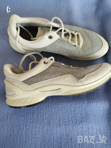 Ecco biom номер 38., снимка 1