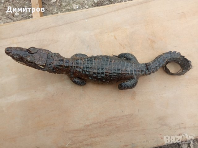 Крокодил препариран, снимка 1 - Декорация за дома - 33125527