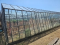 Продава се стъклена оранжерия, снимка 2