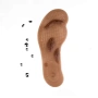 Магнитни масажиращи стелки Massage Insole 👣, снимка 17