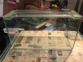 Аквариуми 2 броя /единия може и за терариум/, снимка 8