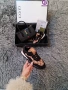 Gucci Дамски Маратонки👟Дамски Спортни Обувки Гучи - Налични Различни Цветове Код SK939, снимка 3