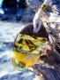 Приказна висулка от естествен балтийски кехлибар / Fabulous Pendant made of Natural Baltic Amber, снимка 14