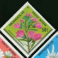  Сет 7 марки Цветята на Монголия,Монголия, 1979, ново, минт, снимка 4 - Филателия - 27982678