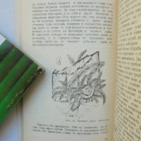 Книга Хищници сред насекомите - Кръстю Тулешков 1968 г. Из света на животните, снимка 2 - Други - 40550652