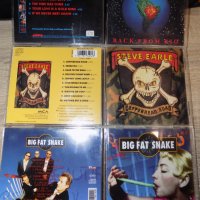 Дискове на -Steve Earle –Copperhead Road/Big Fat Snake-Beautiful Thing1994/ McGuinn-Back from Rio, снимка 8 - CD дискове - 39950432