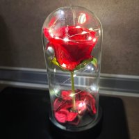 Вечна роза в стъкленица с лампички, снимка 1 - Романтични подаръци - 35541070