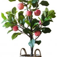 Продавам декорация ябълково дърво в саксия H 100 cm, снимка 2 - Декорация за дома - 29068590