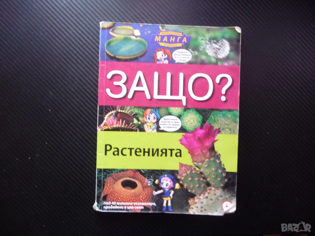 Защо? Растенията комикс забавно запознаване децата със света дървета храсти цветя водорасли билки фл, снимка 1