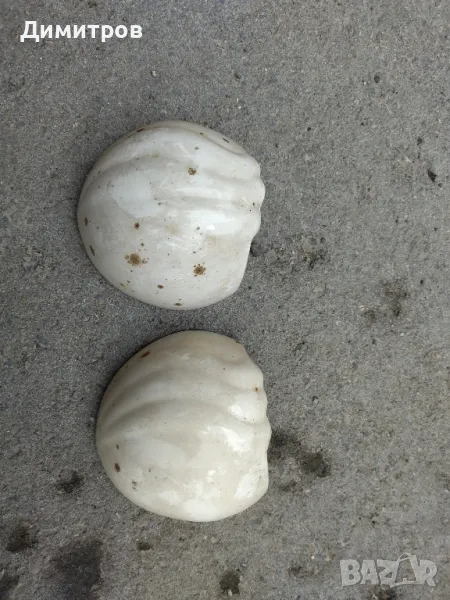 Керамична саксия за стена, снимка 1